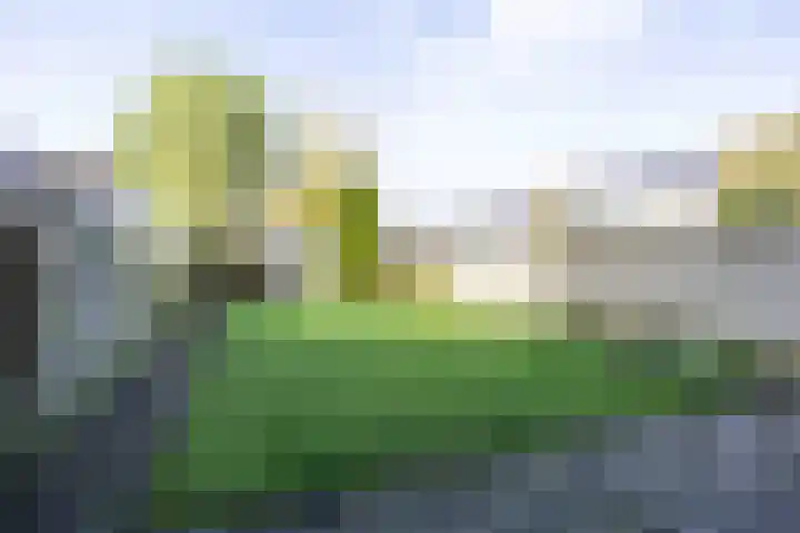 Gerben Colmjonwei 22 Leeuwarden thumbnail 36
