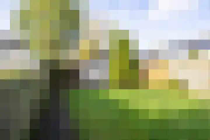 Gerben Colmjonwei 22 Leeuwarden thumbnail 37