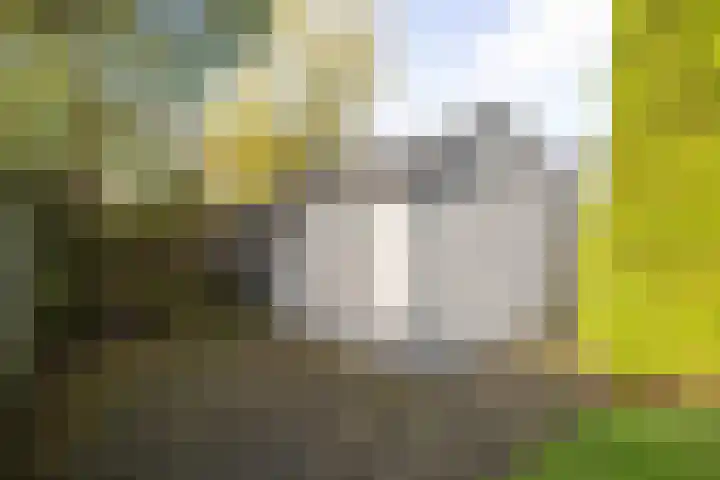 Gerben Colmjonwei 22 Leeuwarden thumbnail 38
