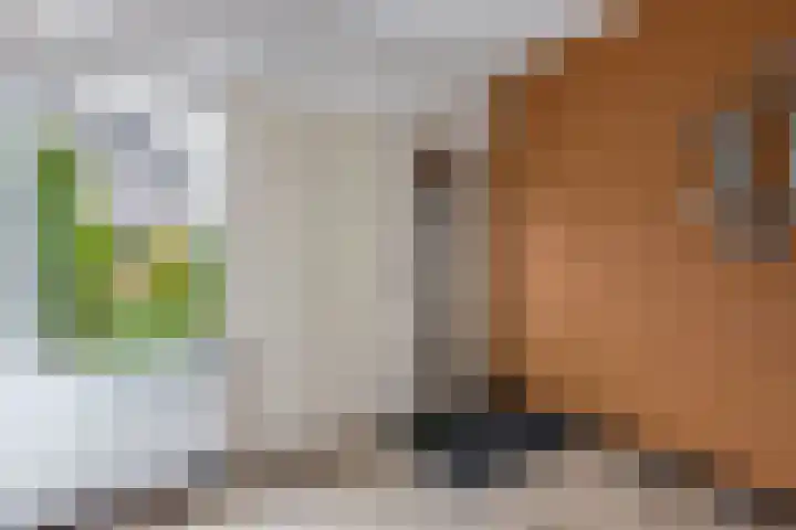 Gerben Colmjonwei 32 Leeuwarden thumbnail 6