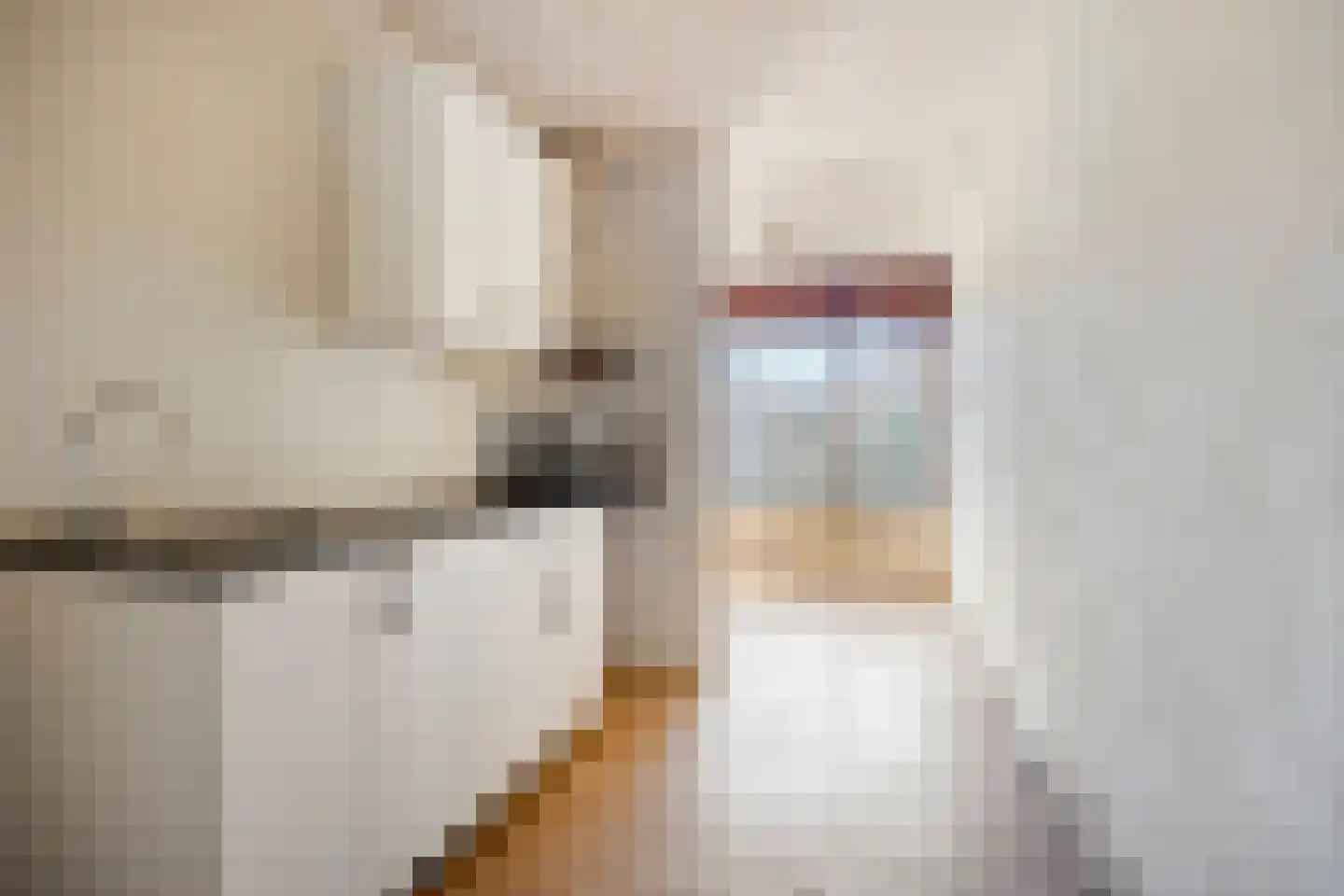 Gerben Colmjonwei 34 Leeuwarden thumbnail 13