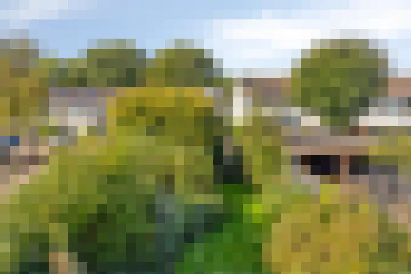 Gerben Colmjonwei 34 Leeuwarden thumbnail 32