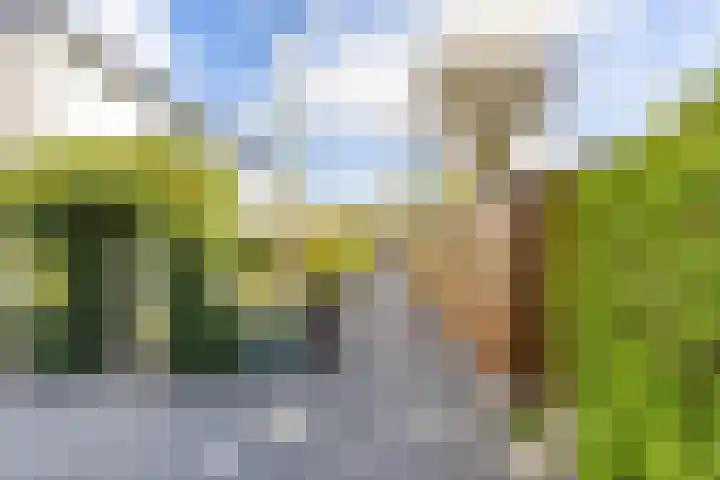 Gerben Colmjonwei 44 Leeuwarden thumbnail 11