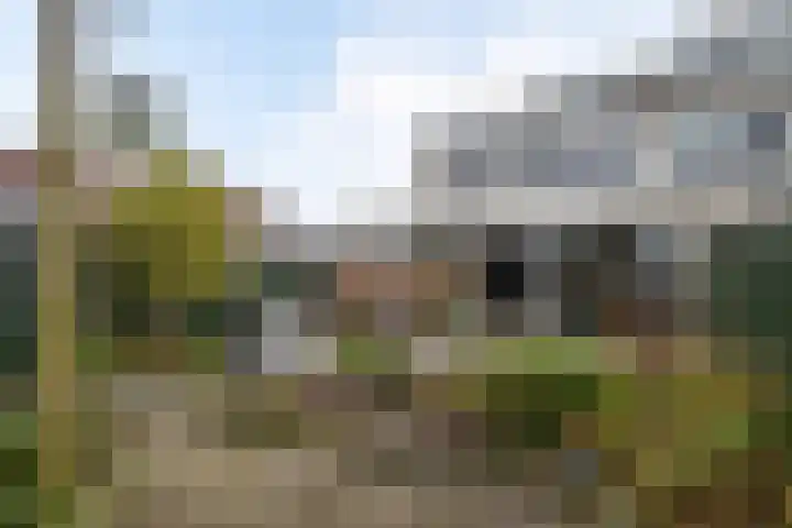 Gerben Colmjonwei 78 Leeuwarden thumbnail 5