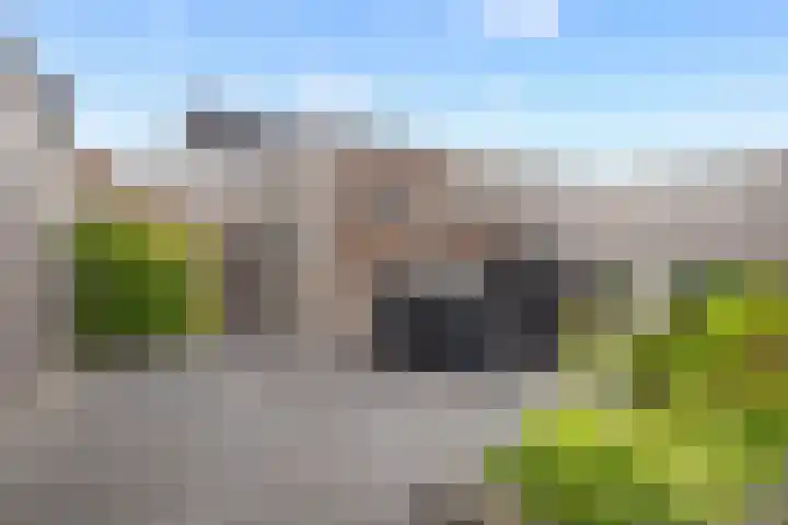 Gerben de Vriesstraat 21 Waalwijk thumbnail 15