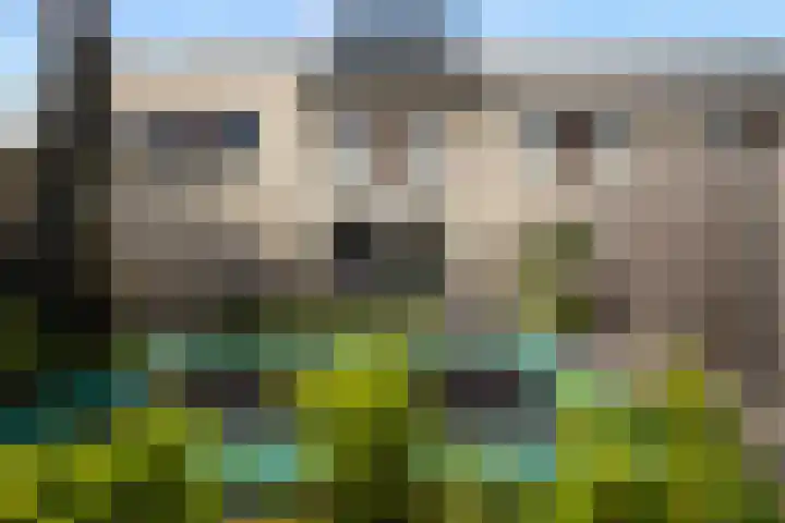 Gerben de Vriesstraat 21 Waalwijk thumbnail 16