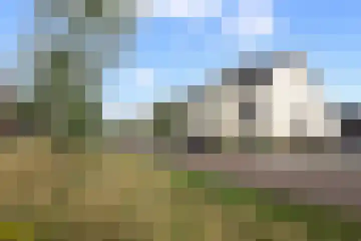 Gerben de Vriesstraat 21 Waalwijk thumbnail 6