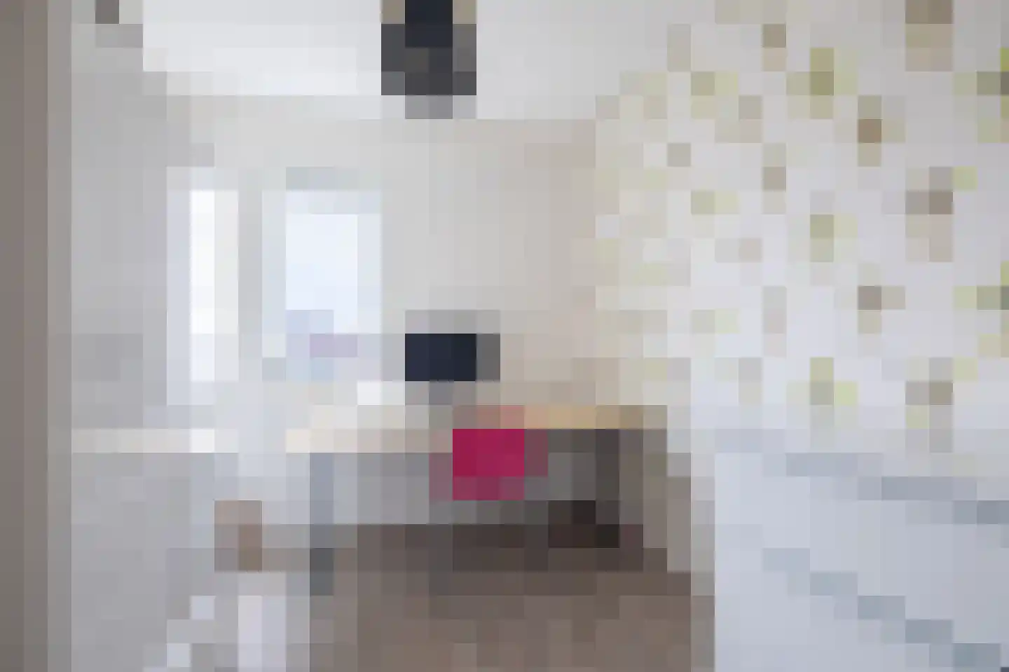 Gerben Nannesstraat 20 Sneek thumbnail 36