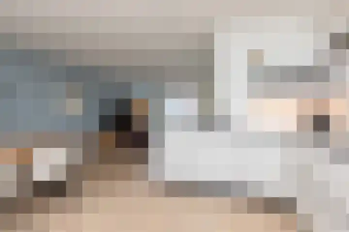 Gerben Nannesstraat 21 Sneek thumbnail 12