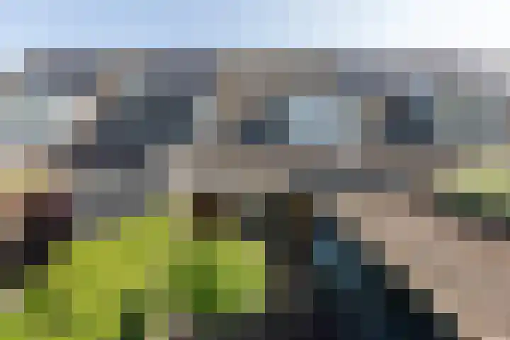 Gerben Nannesstraat 21 Sneek thumbnail 30