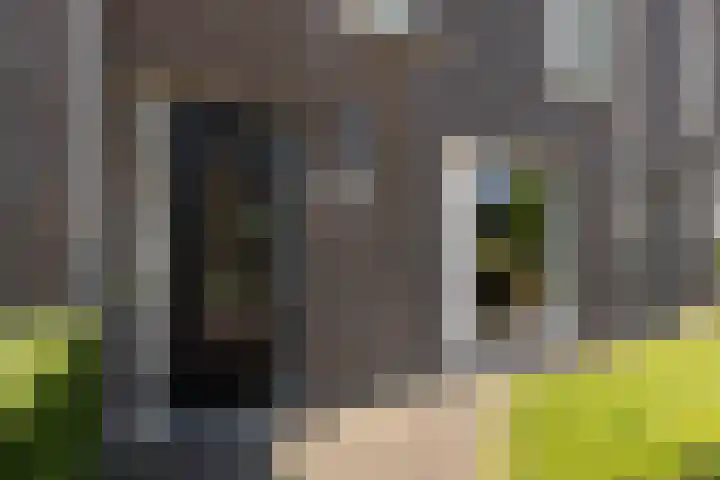 Gerben Nannesstraat 21 Sneek thumbnail 34
