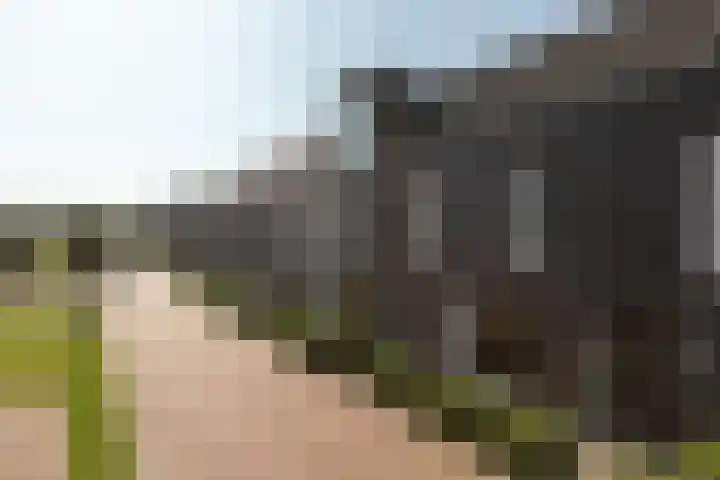Gerben Nannesstraat 21 Sneek thumbnail 36