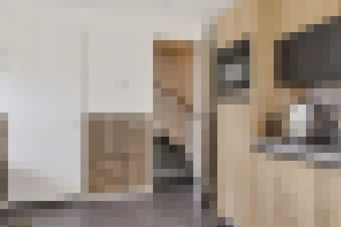 Gerben Nannesstraat 33 Sneek thumbnail 20