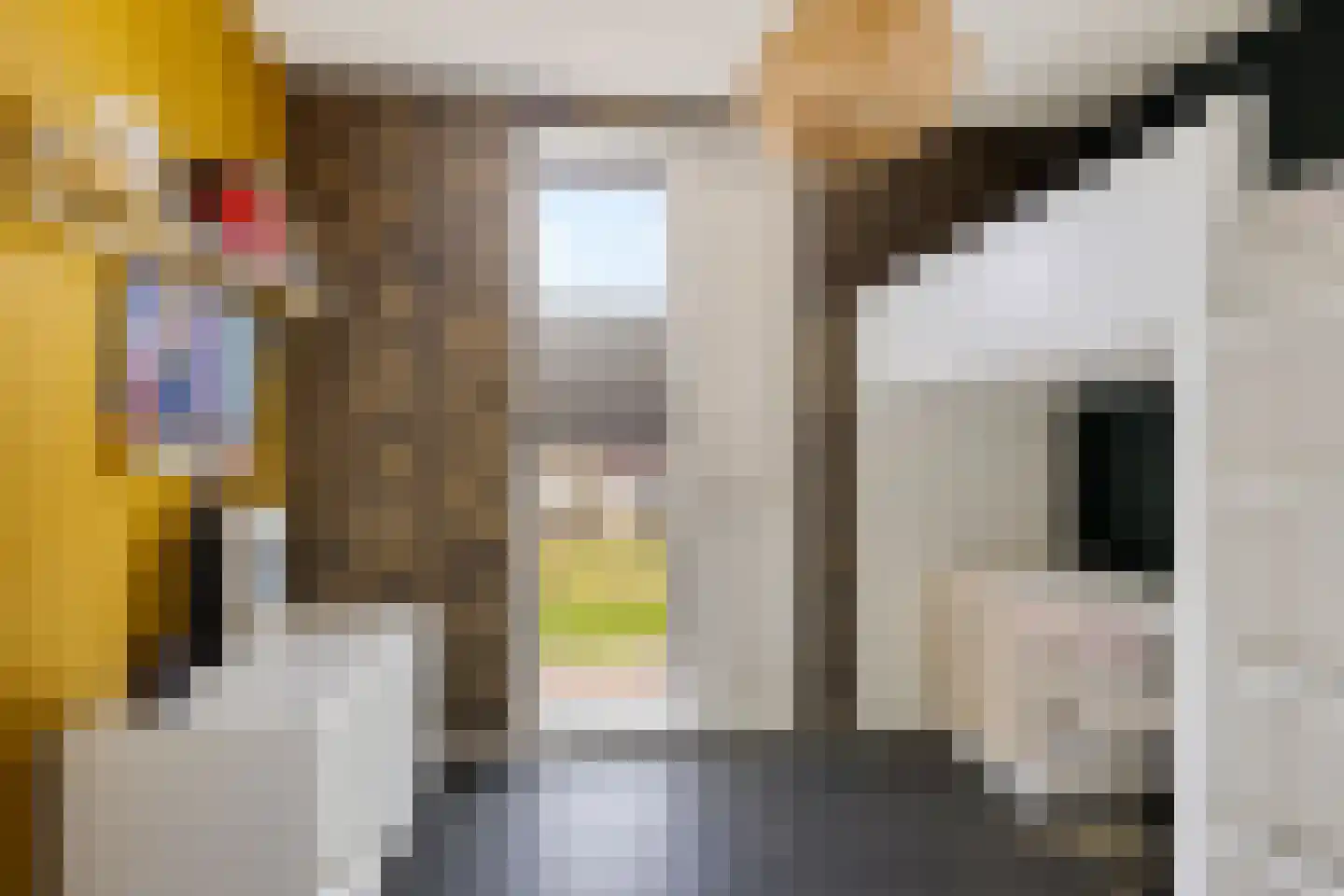 Gerben Nannesstraat 33 Sneek thumbnail 28