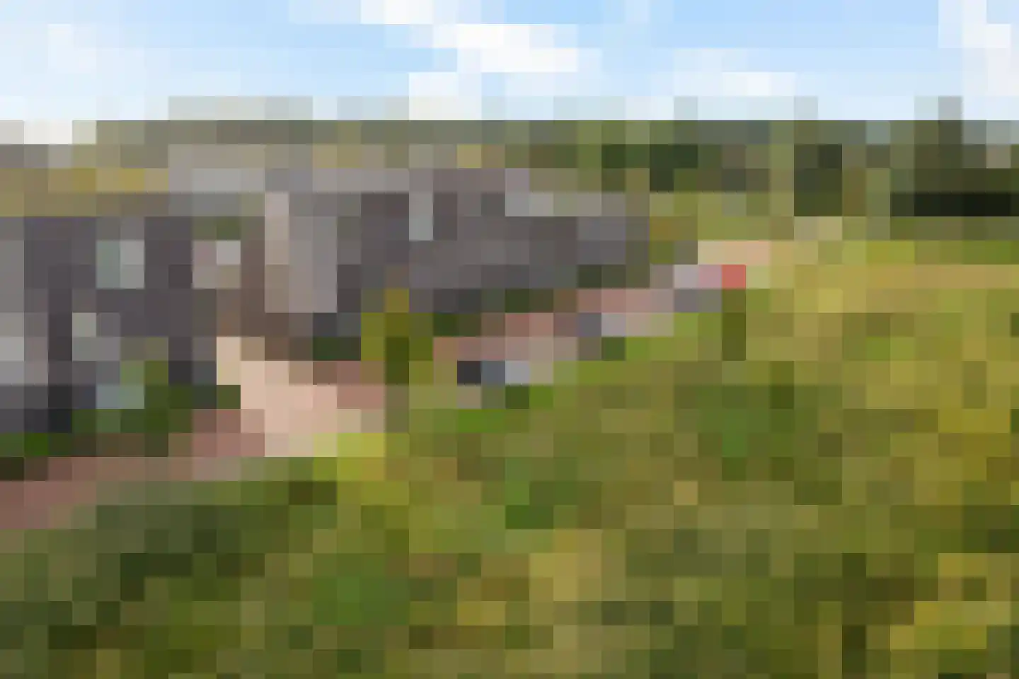 Gerben Nannesstraat 33 Sneek thumbnail 39