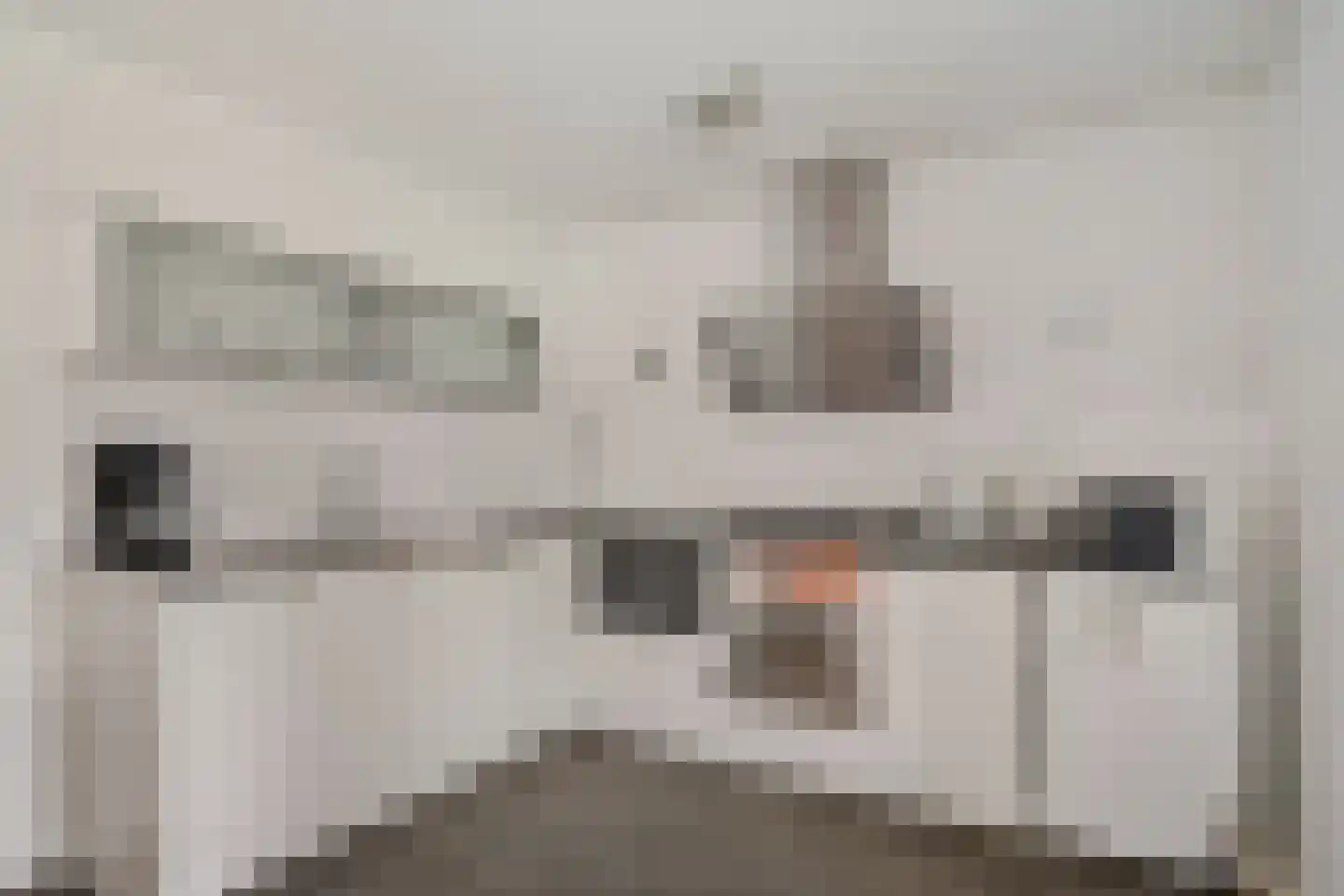 Gerben Oppewalstrjitte 33 Sneek thumbnail 18