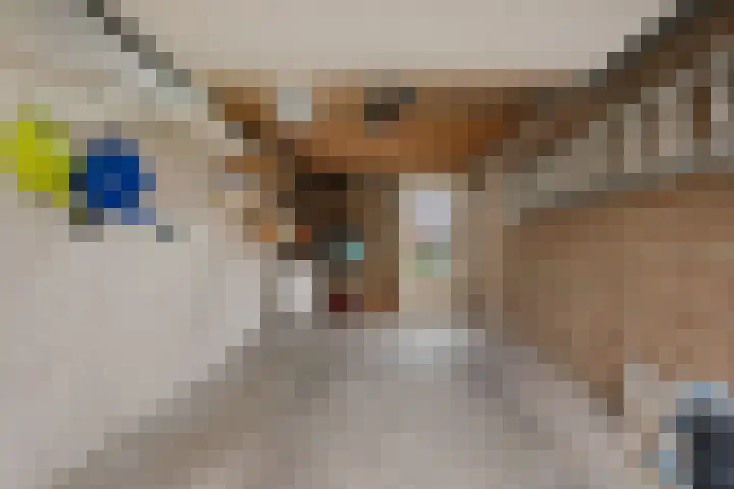 Gerben Oppewalstrjitte 33 Sneek thumbnail 33