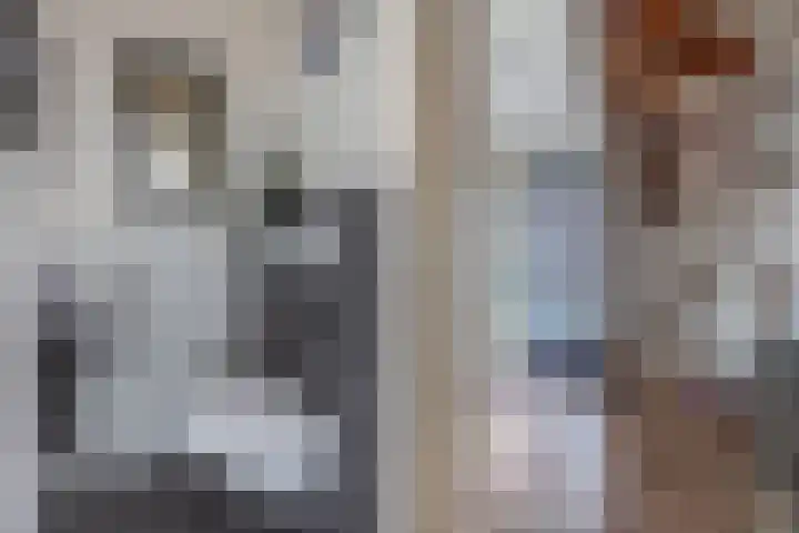 Gerben Oppewalstrjitte 8 Sneek thumbnail 19