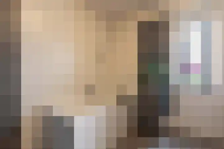 Gerben Oppewalstrjitte 8 Sneek thumbnail 27