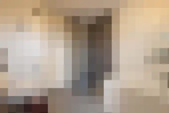 Gerben Oppewalstrjitte 8 Sneek thumbnail 28