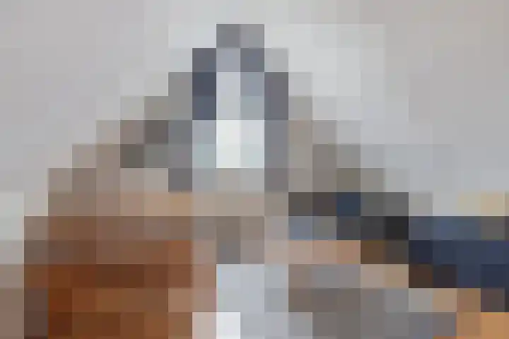 Gerben Oppewalstrjitte 8 Sneek thumbnail 31