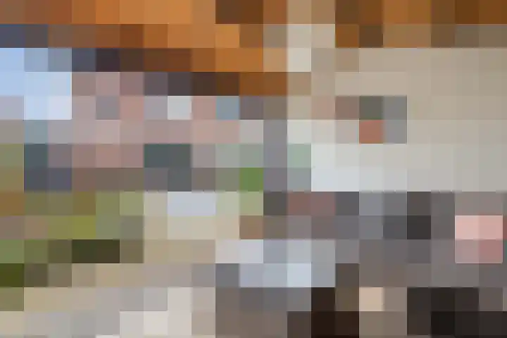 Gerben Oppewalstrjitte 8 Sneek thumbnail 38