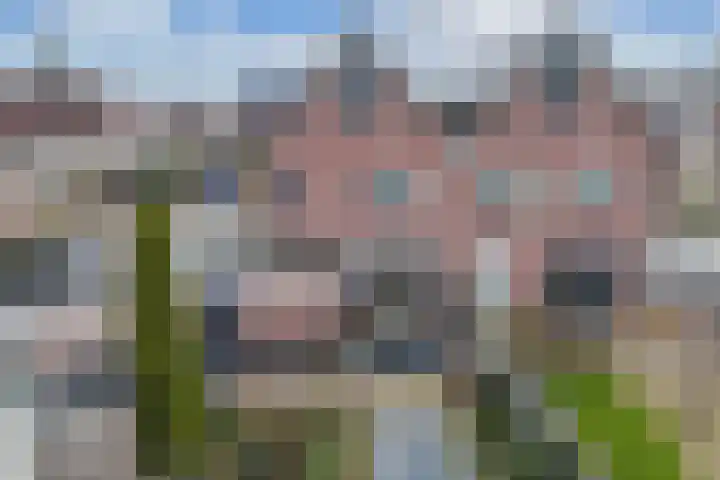 Gerben Oppewalstrjitte 8 Sneek thumbnail 41