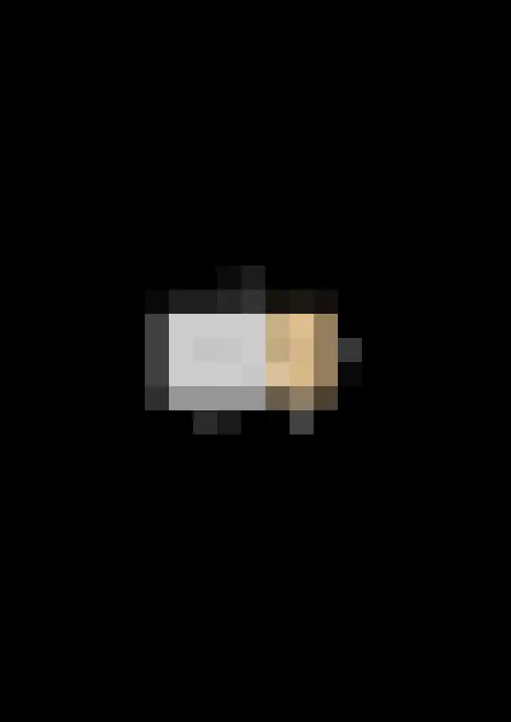 Gerben Oppewalstrjitte 8 Sneek thumbnail 48