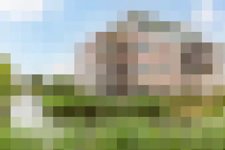 Gerben Oppewalstrjitte 9 Sneek