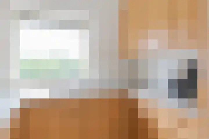 Gerben Oppewalstrjitte 9 Sneek thumbnail 15