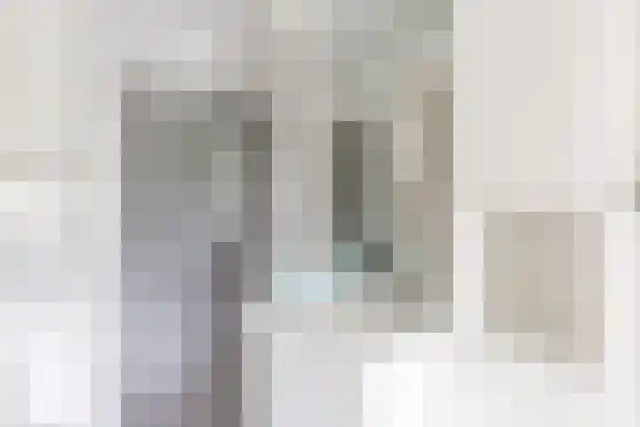Gerben Oppewalstrjitte 9 Sneek thumbnail 21