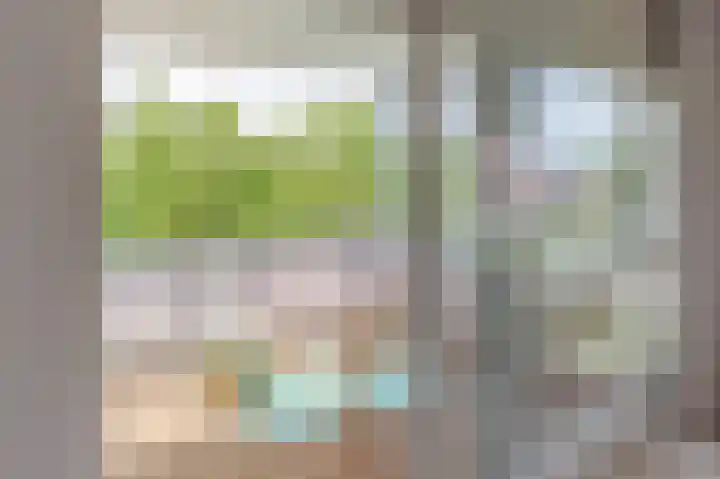 Gerben Oppewalstrjitte 9 Sneek thumbnail 29
