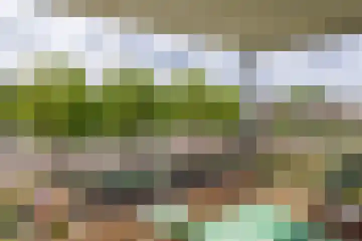Gerben Oppewalstrjitte 9 Sneek thumbnail 30