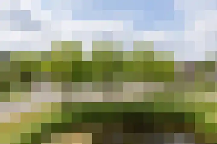 Gerben Oppewalstrjitte 9 Sneek thumbnail 31