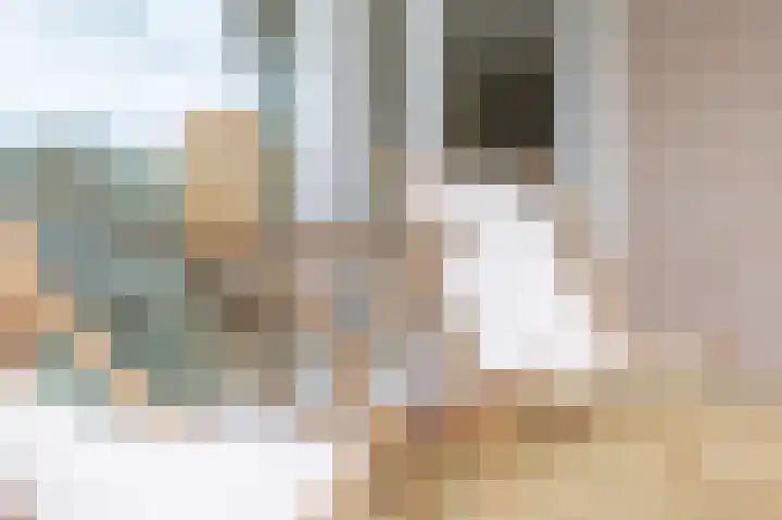 Gerben Oppewalstrjitte 9 Sneek thumbnail 33
