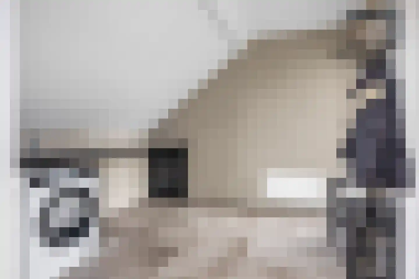Gerben Oswaldstraat 63 Harlingen thumbnail 34