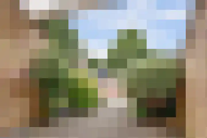 Gerben Oswaldstraat 69 Harlingen thumbnail 41