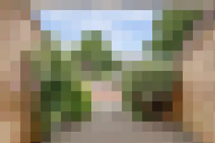 Gerben Oswaldstraat 69 Harlingen thumbnail 42