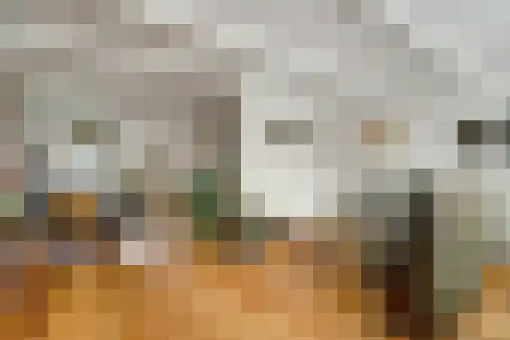 Gerben Oswaldstraat 69 Harlingen thumbnail 6