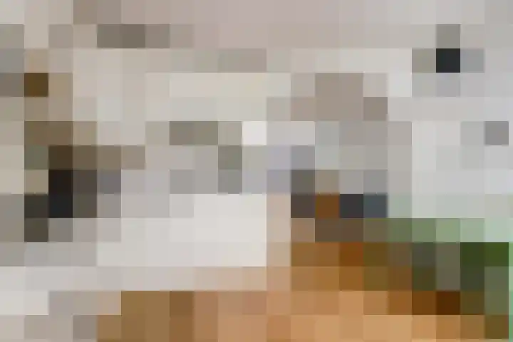 Gerben Oswaldstraat 69 Harlingen thumbnail 9