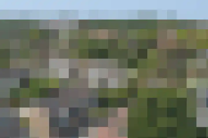 Gerben Oswaldstraat 75 Harlingen thumbnail 37