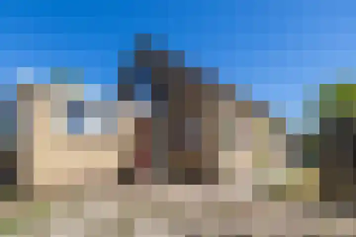 Gerben Postmastrjitte 10 Damwâld thumbnail 16