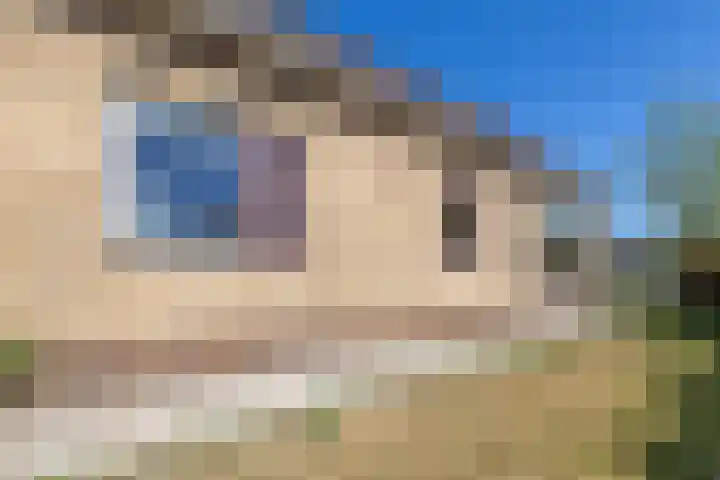 Gerben Postmastrjitte 10 Damwâld thumbnail 17