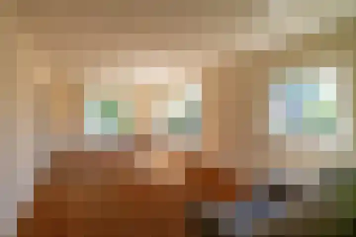 Gerben Postmastrjitte 10 Damwâld thumbnail 19