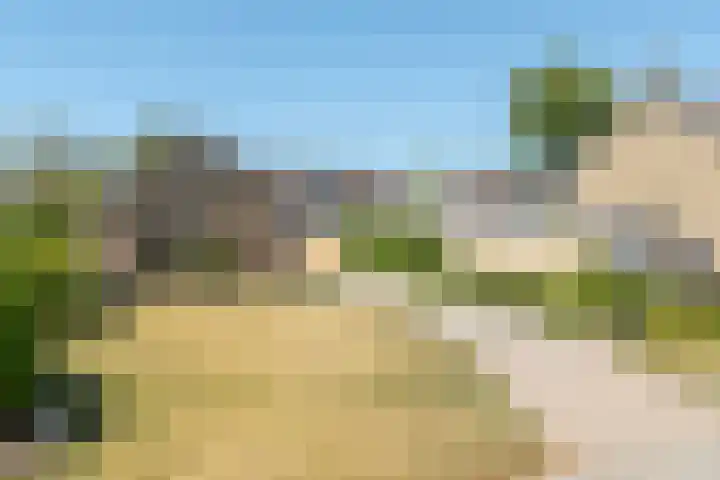 Gerben Postmastrjitte 10 Damwâld foto 2