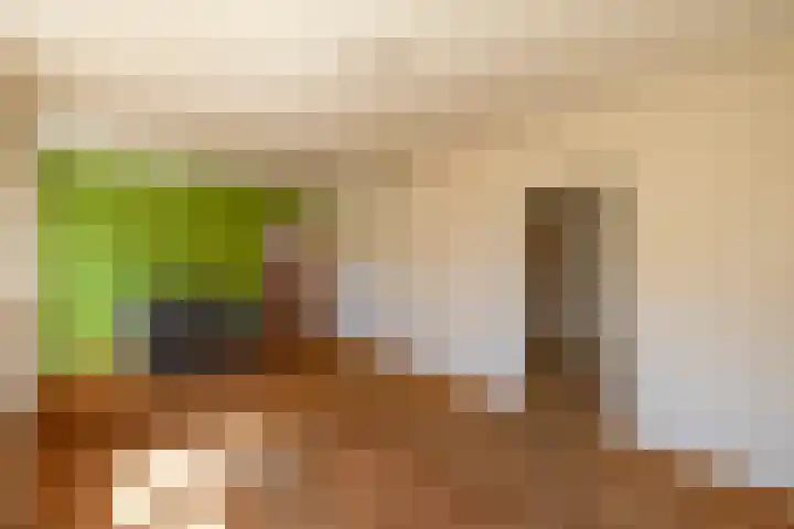 Gerben Postmastrjitte 10 Damwâld thumbnail 20
