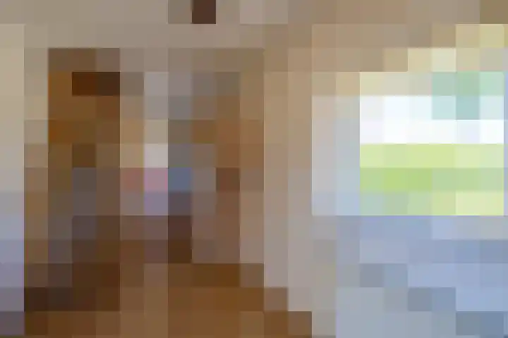 Gerben Postmastrjitte 10 Damwâld thumbnail 21
