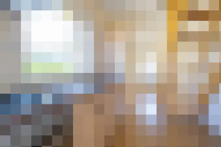 Gerben Postmastrjitte 10 Damwâld thumbnail 23