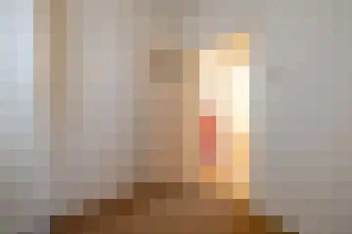 Gerben Postmastrjitte 10 Damwâld thumbnail 27