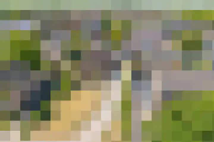 Gerben Postmastrjitte 10 Damwâld foto 3